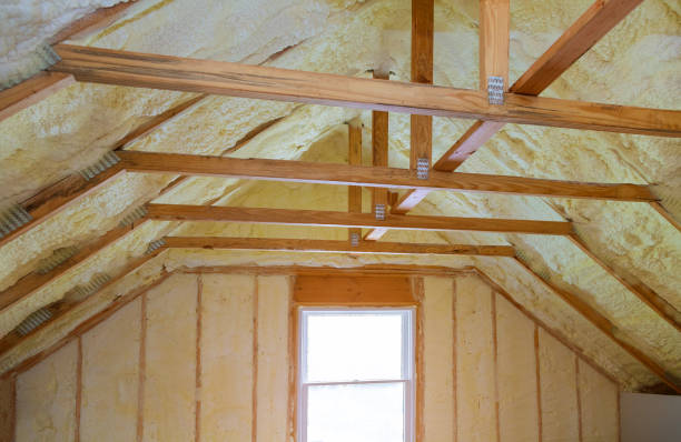 Best Insulation Maintenance and Repair in Lopezville, TX