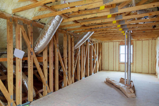 Types of Insulation We Offer in Lopezville, TX