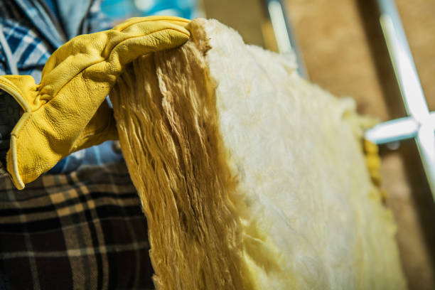 Best Spray Foam Insulation in Lopezville, TX